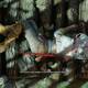 The Witcher 3: Wild Hunt - Las Damas del bosque 5 - El dao es grave