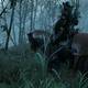 The Witcher 3: Wild Hunt - Las Damas del bosque 5 - Imlerith est en el pantano