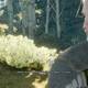 The Witcher 3: Wild Hunt - Poeta bajo presin - Parece que todo est relacionado con cierta maldicin