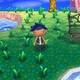 Animal Crossing - Carlos Pieiro - 