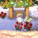 Animal Crossing - Cristina - 