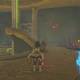 Zelda Breath of the Wild Naboris, bestia del rayo - Ojo de la planta inferior