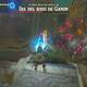 Zelda Breath of the Wild Naboris, bestia del rayo - Usar el imn en los pilares