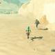 Zelda Breath of the Wild La octava herona - Botenk