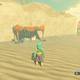 Zelda Breath of the Wild La espada olvidada - Botenk