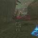 Zelda Breath of the Wild El camino hacia el Bastin central - Abrir atajo