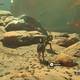 Zelda Breath of the Wild Misin a prueba de fuego - Masatt