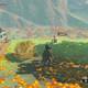 Zelda Breath of the Wild Caprichos de nuevo rico - Hagg