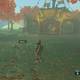Zelda Breath of the Wild Todo por mi hermanita - Jana