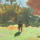 Zelda Breath of the Wild Un individuo sospechoso