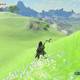 Zelda Breath of the Wild A por el caballo blanco - Caballo blanco