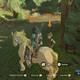 Zelda Breath of the Wild A por el caballo blanco - Hablar con Tonfar