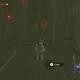Zelda Breath of the Wild Recetas de la realeza - Espada de la guardia
