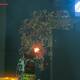Zelda Breath of the Wild Santuario de Himot - Quemar plantas