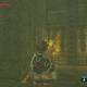 Zelda Breath of the Wild Santuario de Kahoi - Escalera de mano (2)