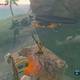 Zelda Breath of the Wild Santuario de Sarshii - Primera esfera