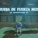Zelda Breath of the Wild Santuario de Sasaik