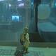 Zelda Breath of the Wild Santuario de Gaddai - Cofre
