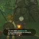 Zelda Breath of the Wild Ms all de la meseta - Anciano