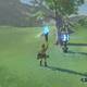 Zelda Breath of the Wild Los recuerdos perdidos - Transportar la llama