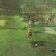 Zelda Breath of the Wild La fuente de la gran hada - Dangis