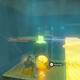 Zelda Breath of the Wild Santuario de Inyo - Paralizar l�ser