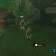Zelda Breath of the Wild Los cucos perdidos - Wakat