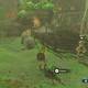 Zelda Breath of the Wild Los cucos perdidos - Cuco 2