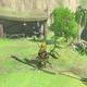 Zelda Breath of the Wild Los cucos perdidos - Cuco 3