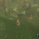 Zelda Breath of the Wild Los cucos perdidos - Cuco 4