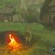 Zelda Breath of the Wild Los cucos perdidos - Cuco 5