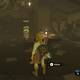 Zelda Breath of the Wild Habla con Rotver - Prunia