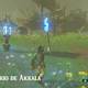 Zelda Breath of the Wild Habla con Rotver - Transportar la llama