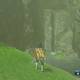 Zelda Breath of the Wild El tesoro de Nambod - Catarata