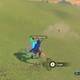 Zelda Breath of the Wild Los deseos del ser amado - Grillo vigoroso