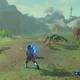 Zelda Breath of the Wild Las maracas de Obab - Enemigos