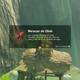 Zelda Breath of the Wild Las maracas de Obab - Maracas de Obab