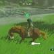 Zelda Breath of the Wild El r�cord del domador - Domar al caballo