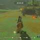 Zelda Breath of the Wild El r�cord del domador - Volver a la posta