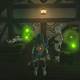 Zelda Breath of the Wild A la luz de las lucirnagas - Soltar las lucirnagas