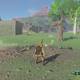 Zelda Breath of the Wild Las recetas de Koko 4 - Colmena