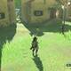 Zelda Breath of the Wild El joven entusiasta - Nebb