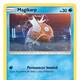 JCC Pokmon - Cartas de Detective Pikachu - 