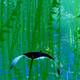ABZU - 