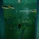 ABZU - 