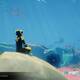 ABZU - 