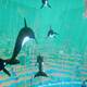 ABZU - 