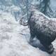 Far Cry Primal - Cacera: Mamut colmillo sangriento - 