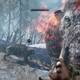 Far Cry Primal - Cacera: Mamut colmillo sangriento - 