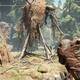 Far Cry Primal - Ataque de los Udam - 